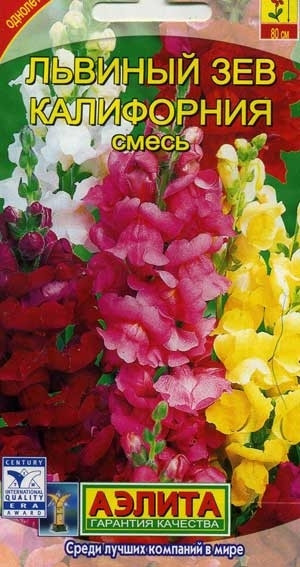 львиный зев калифорния.jpg