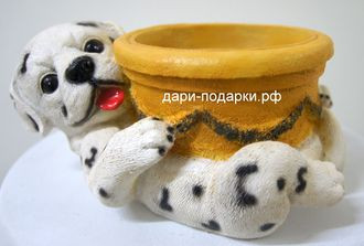 11073    . 278+%.jpg