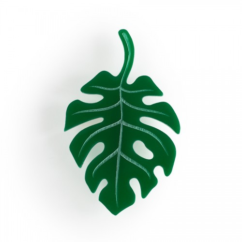  Tropical leaf