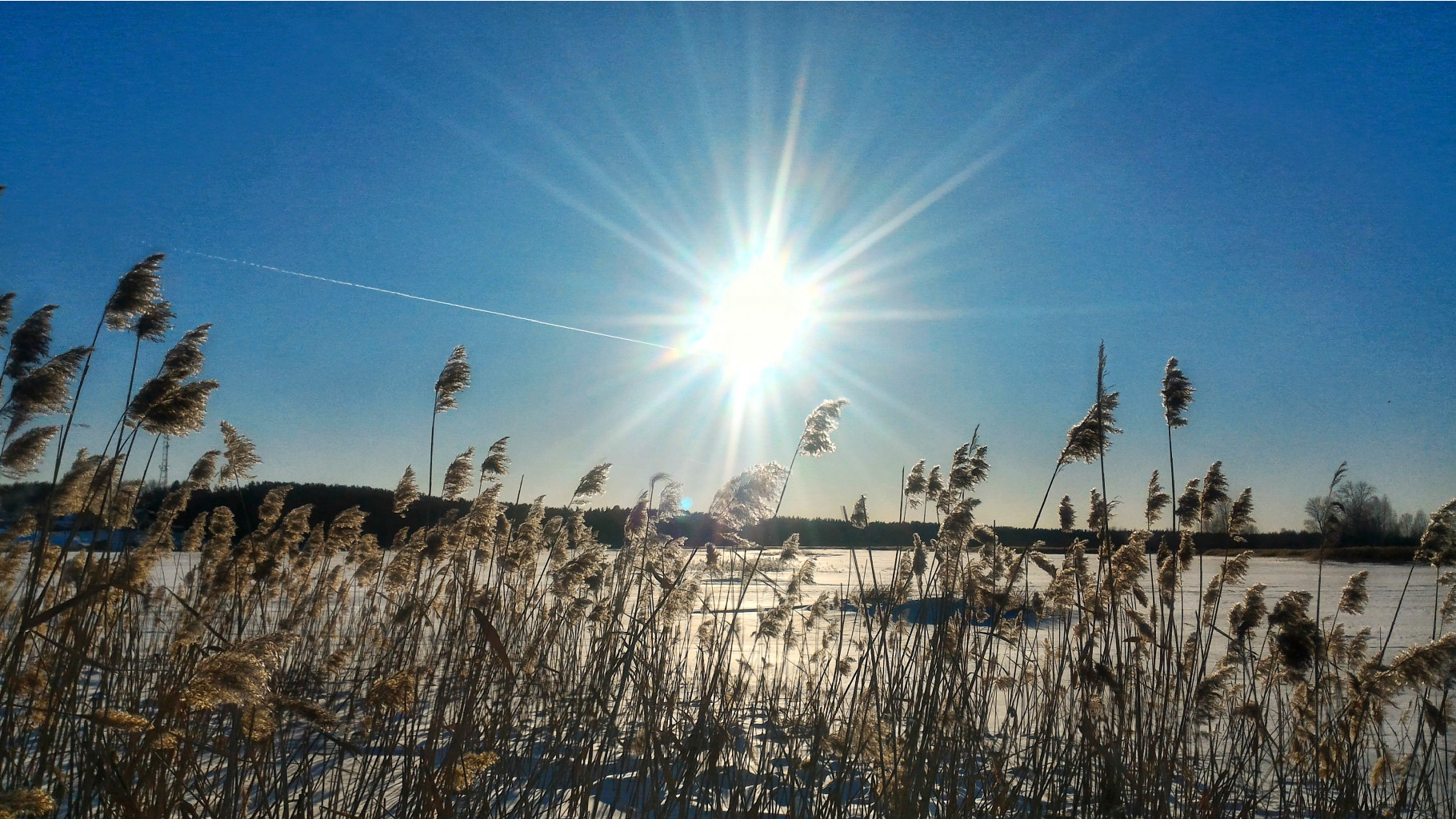 P 20180308 162654 HDR-01.jpeg