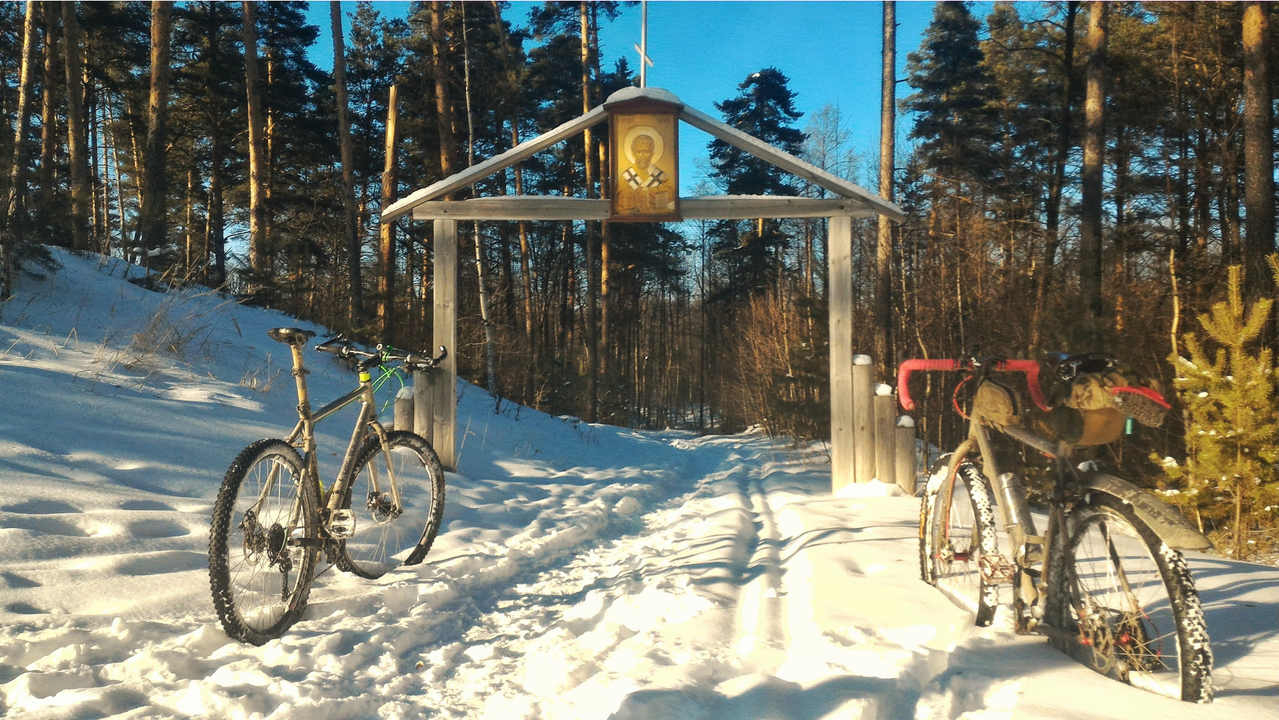 P 20180308 154124-01.jpeg