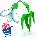 Pv snowdrop big.gif