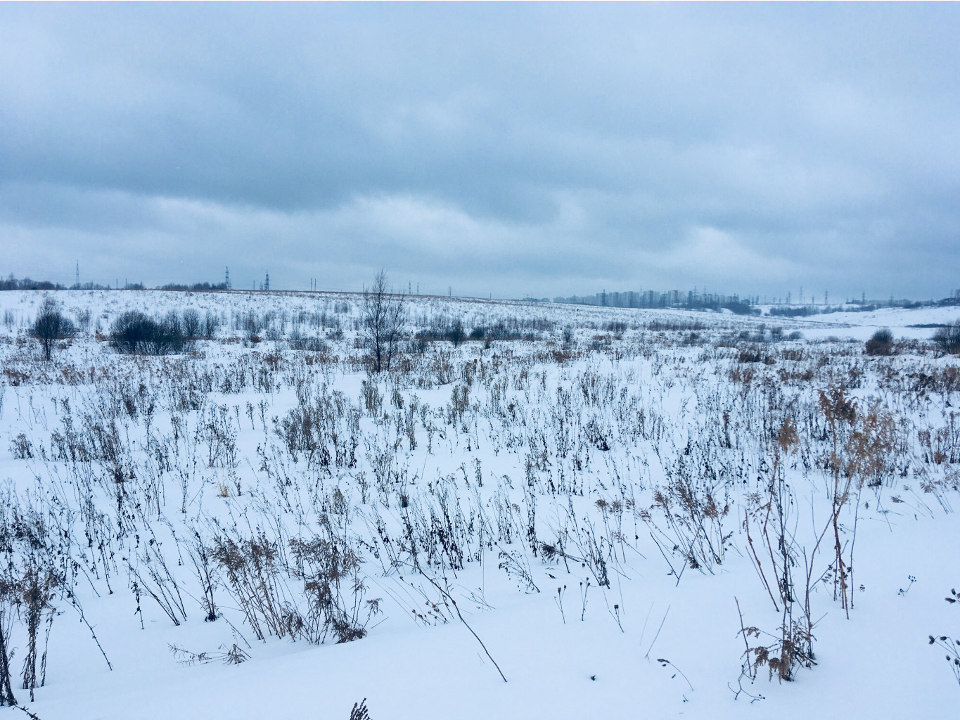 8A3B0D12-1B41-4808-A284-1CA4B0E55942.jpeg