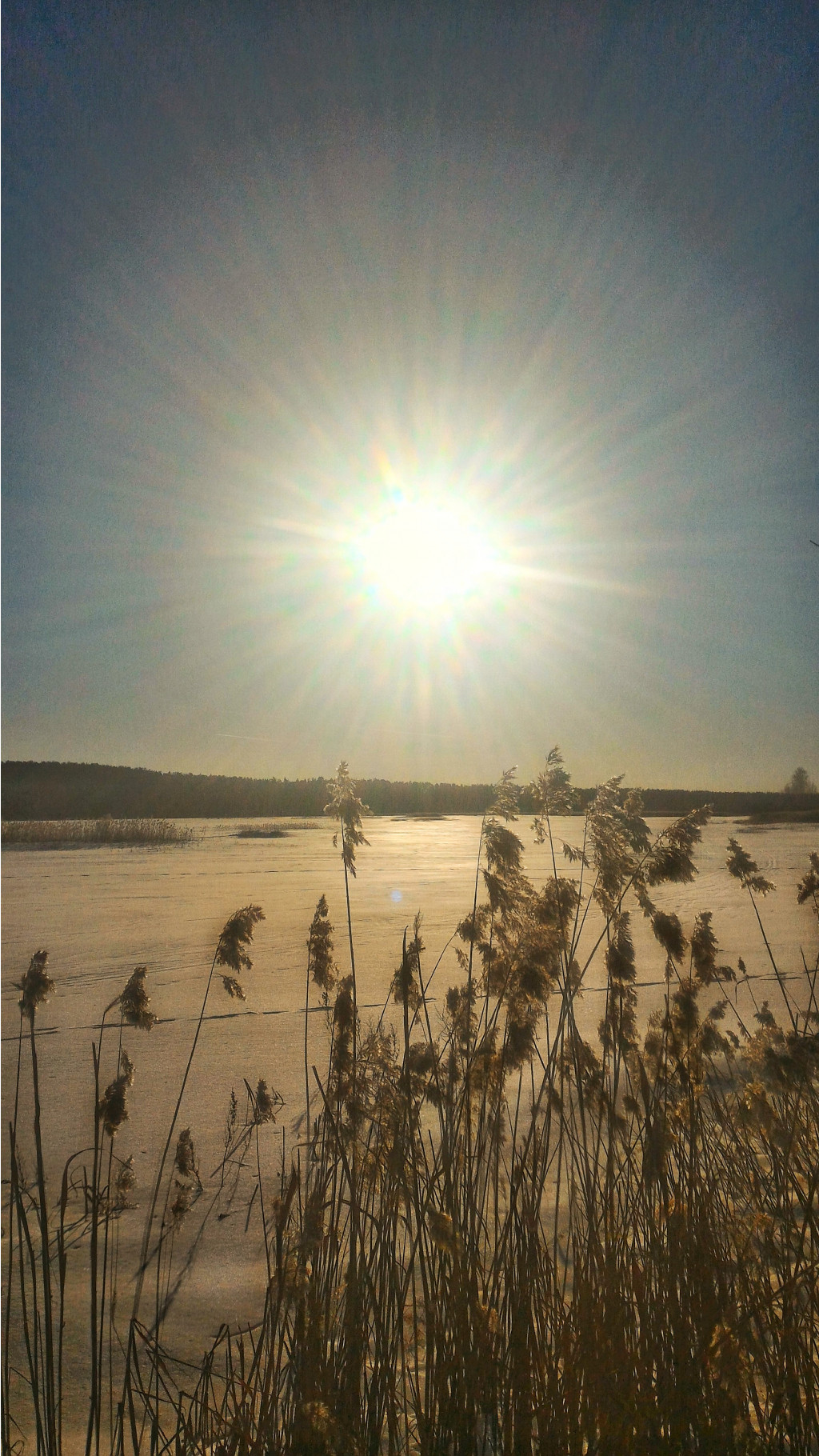 P 20180308 161440 HDR-01.jpeg