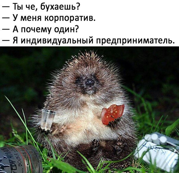 Корпоратив.jpg