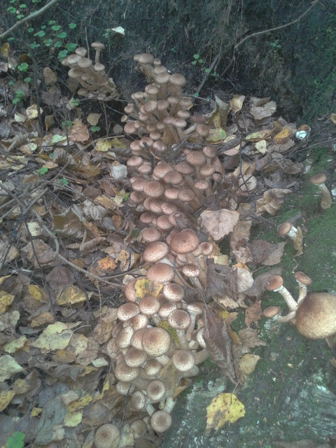 2014-09-20 13.04.54.jpg