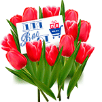 Pv tulip big.gif