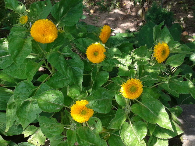 2014-08-21 13.15.54.jpg