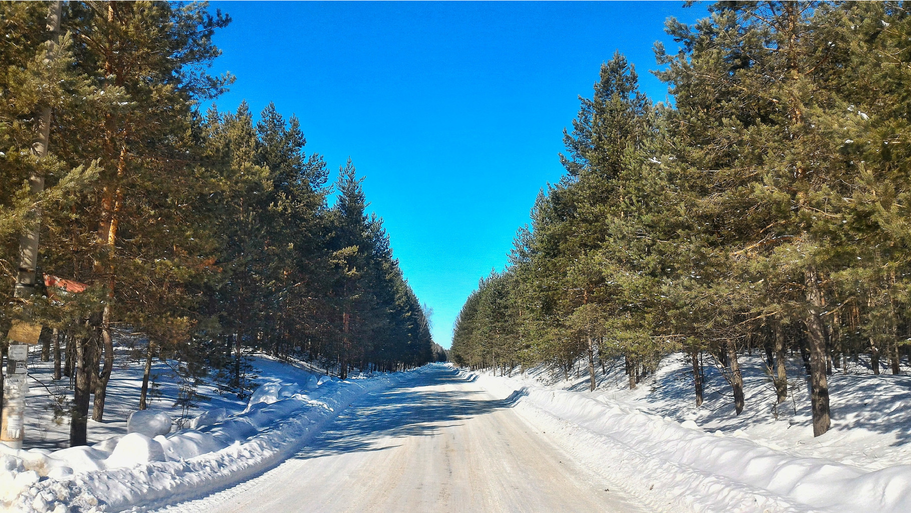 P 20180308 134432 HDR-01.jpeg