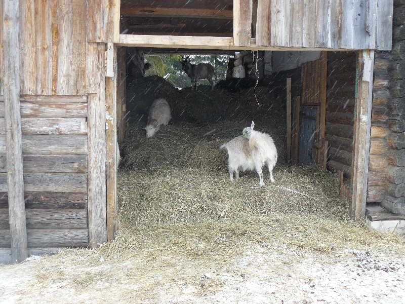 P1060985.JPG