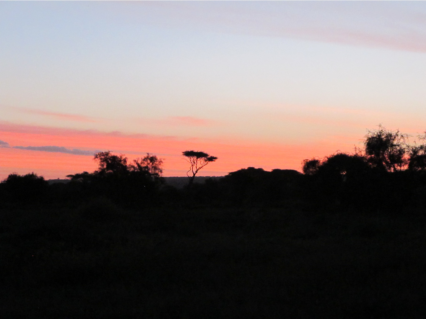 IMG 0890.JPG