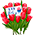 Pv tulip small.gif
