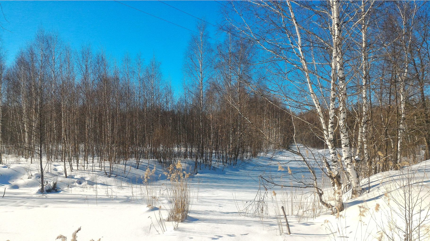 P 20180308 142727-01.jpeg