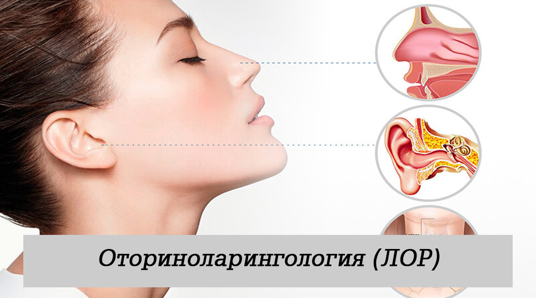 Оториноларингология (ЛОР)