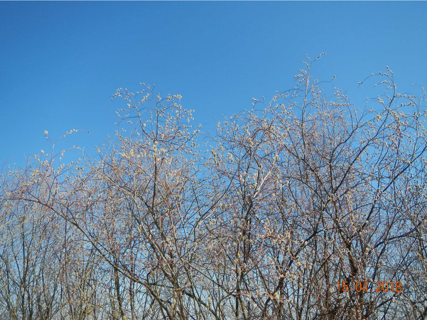 DSCN3821.JPG