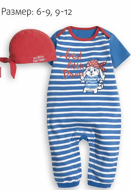 BFAR1011-1(Q)   .png