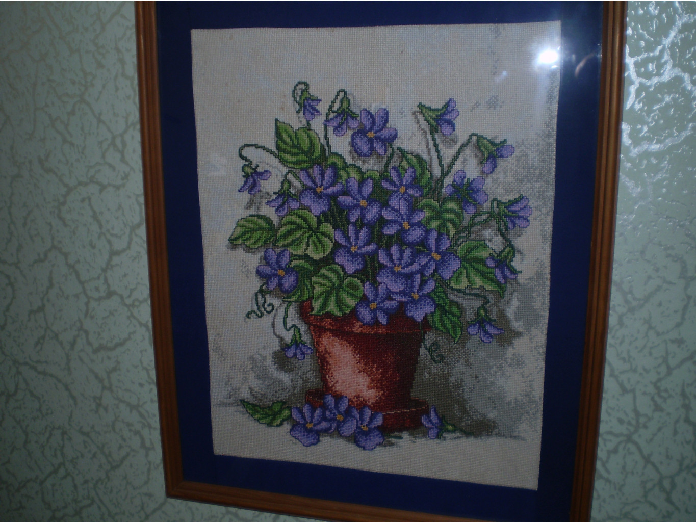 УЗАМБАРСКАЯ  ФИАЛКА