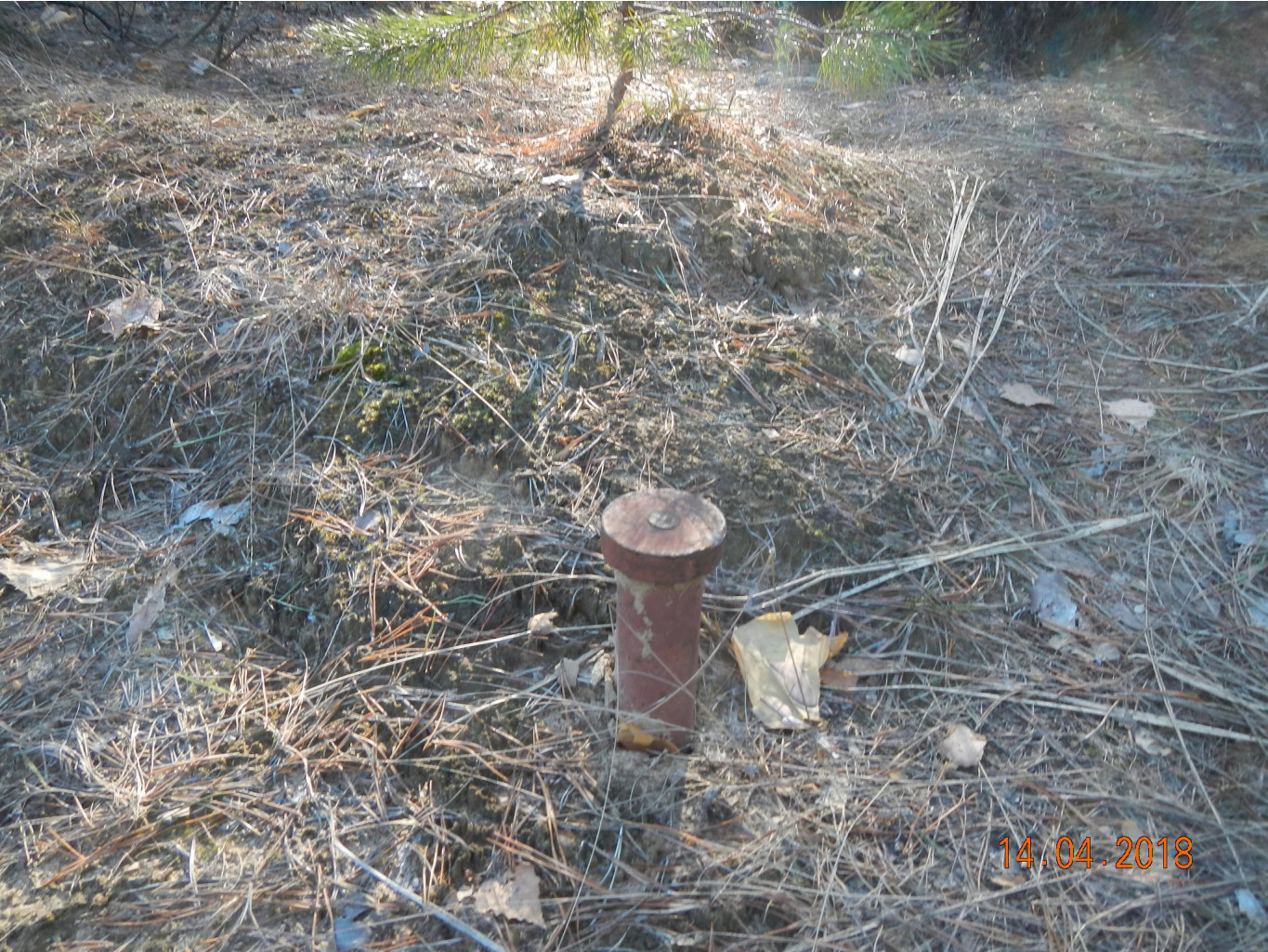 DSCN3783.JPG
