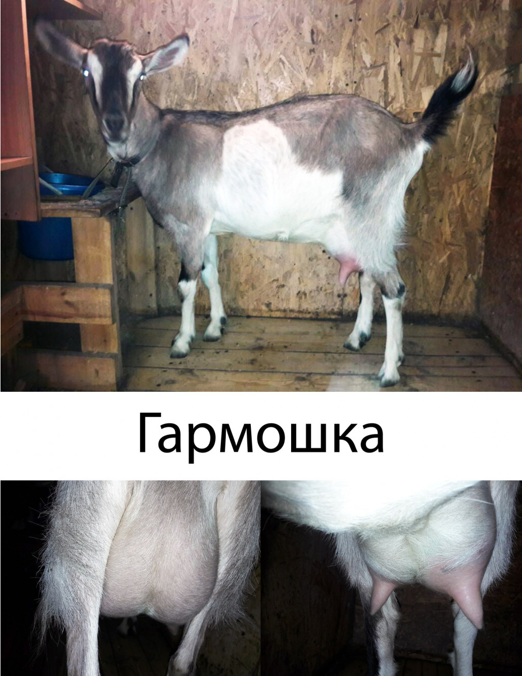 NLIDxzL9Tkk.jpg