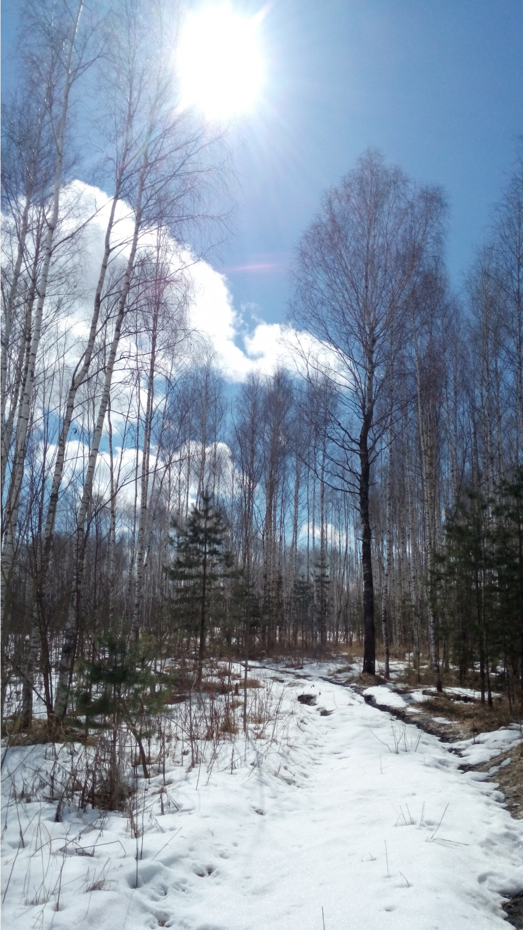 IMG 20180407 130611.jpg