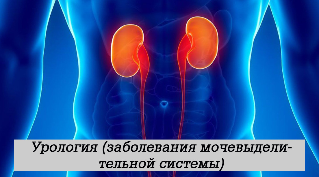Урология (заболевания мочевыделительной системы)