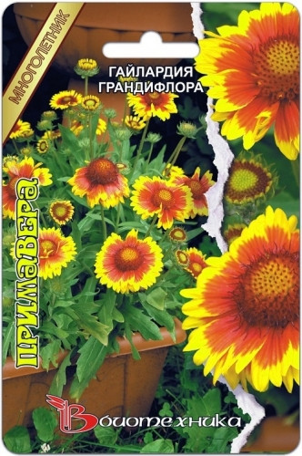 Гайлардия грандифлора Примавера. 20 руб.jpg