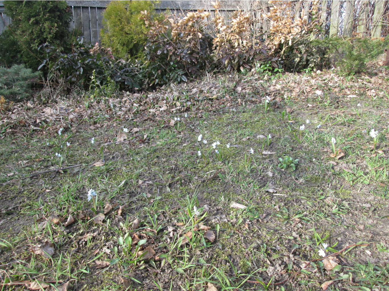 IMG 5299.JPG