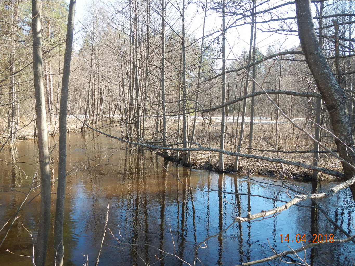 DSCN3789.JPG