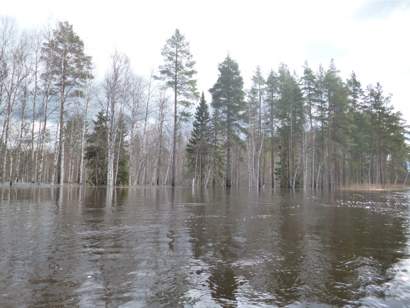 P1000978.JPG