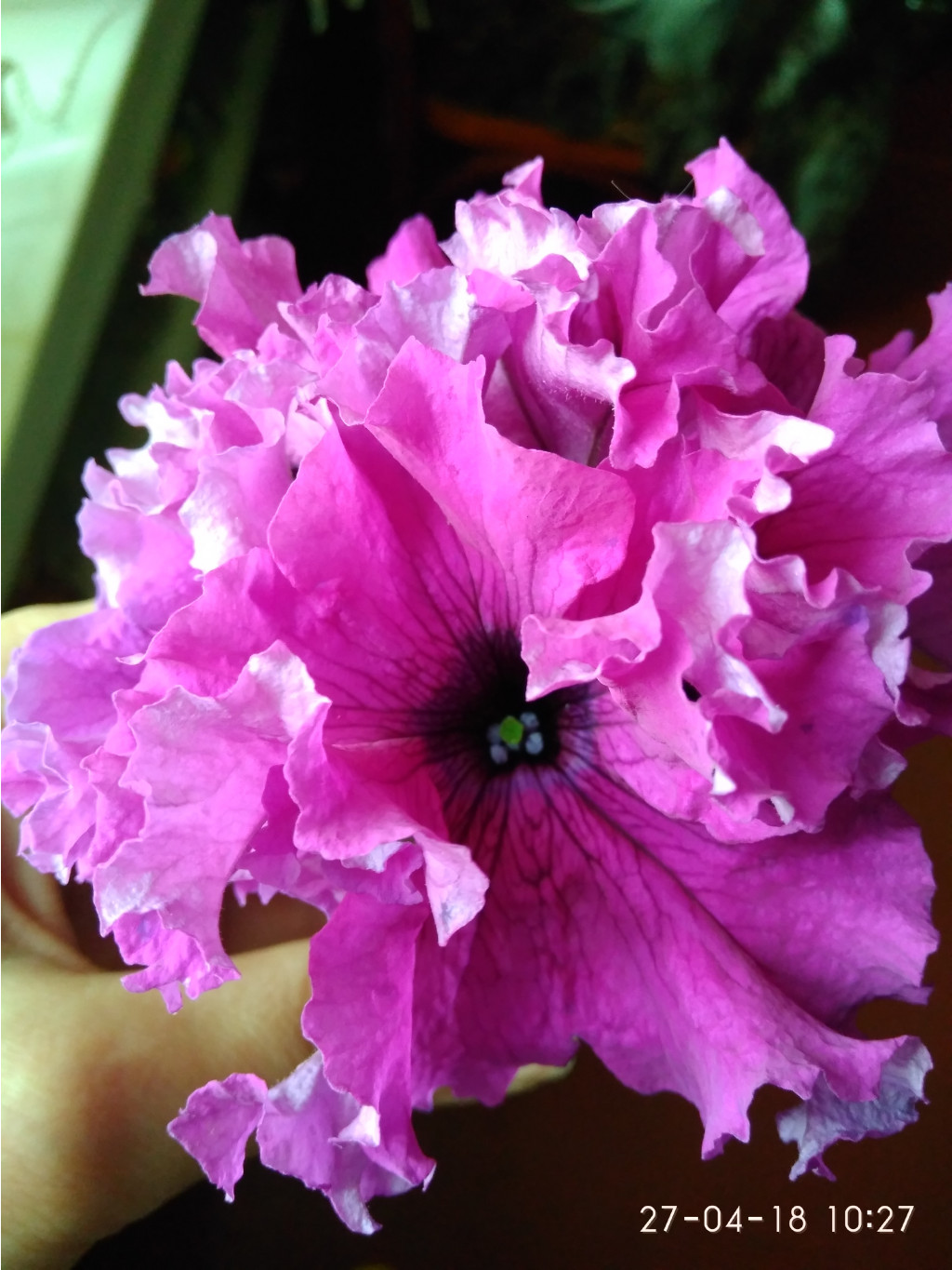 IMG 20180427 102706[1].jpg