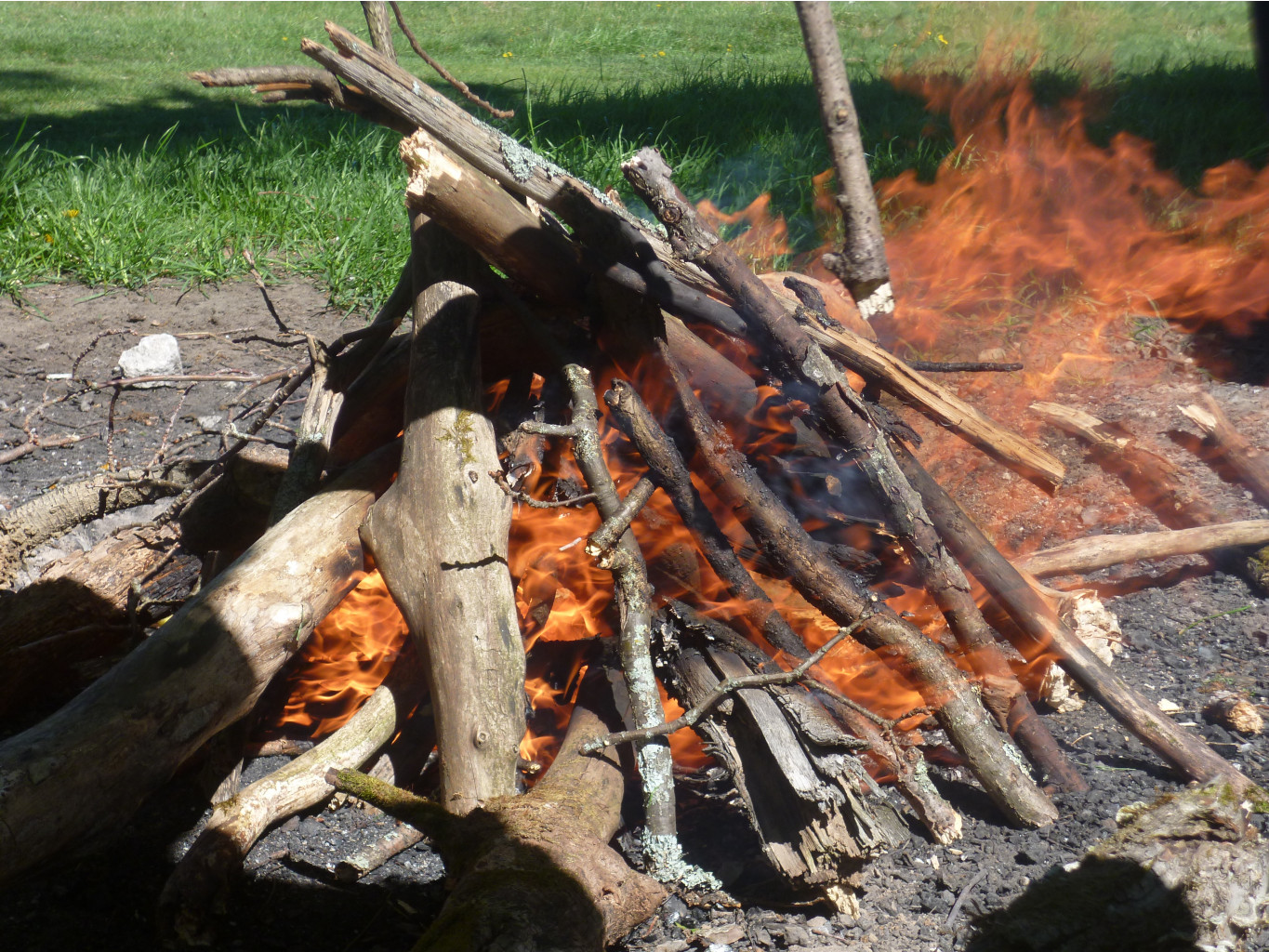 P1010242.JPG