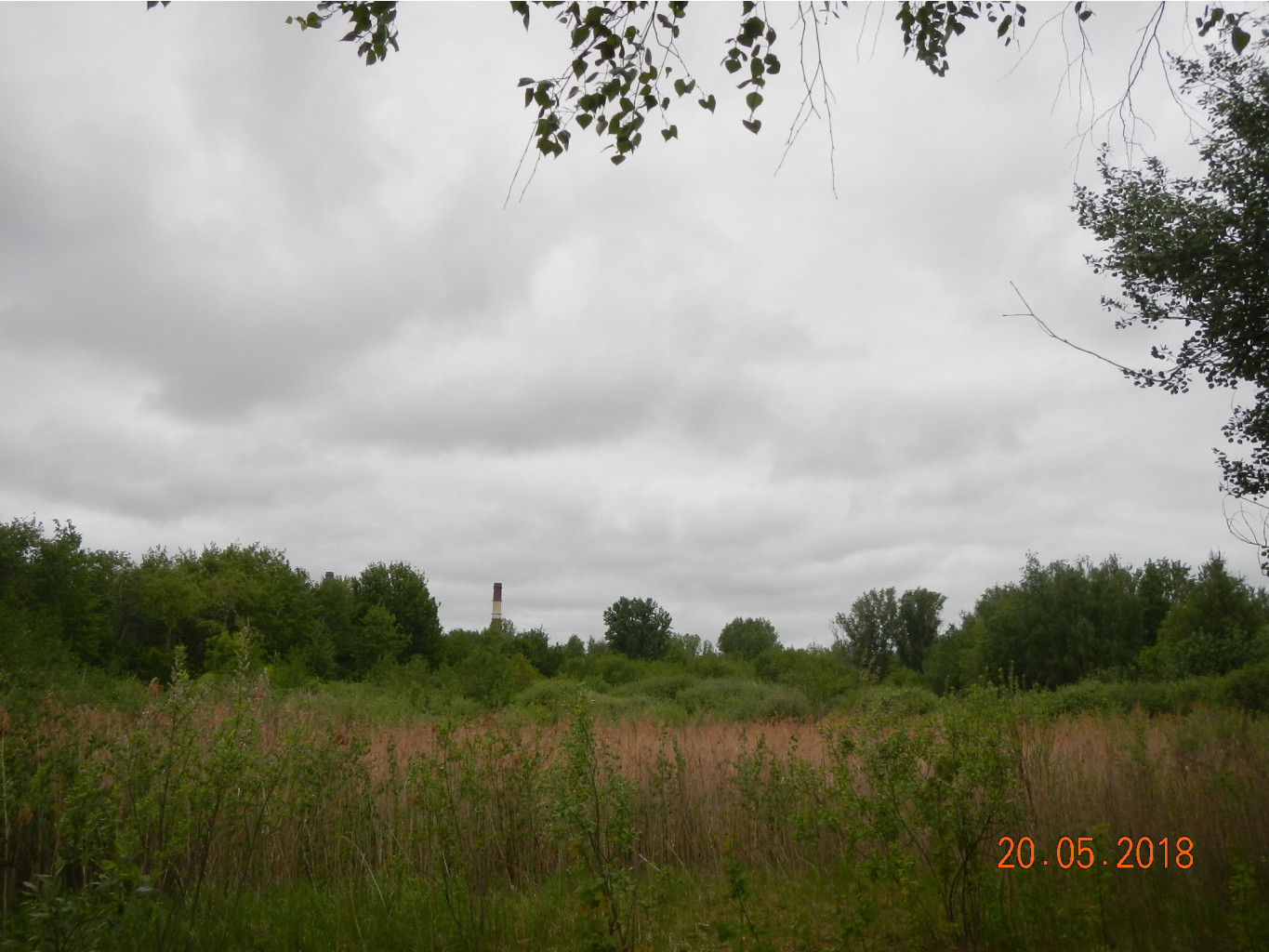 DSCN4119.JPG