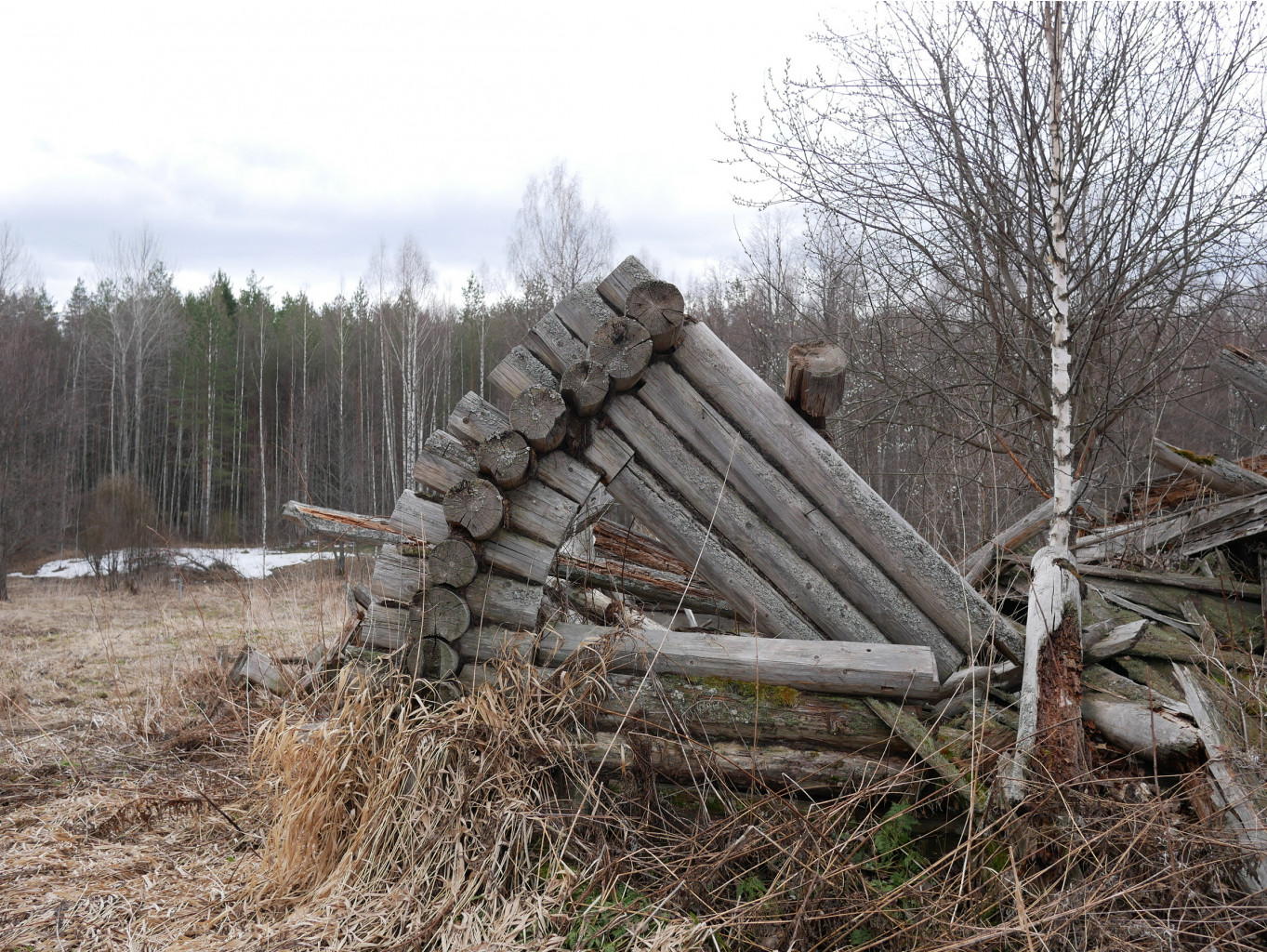 P1010558.JPG