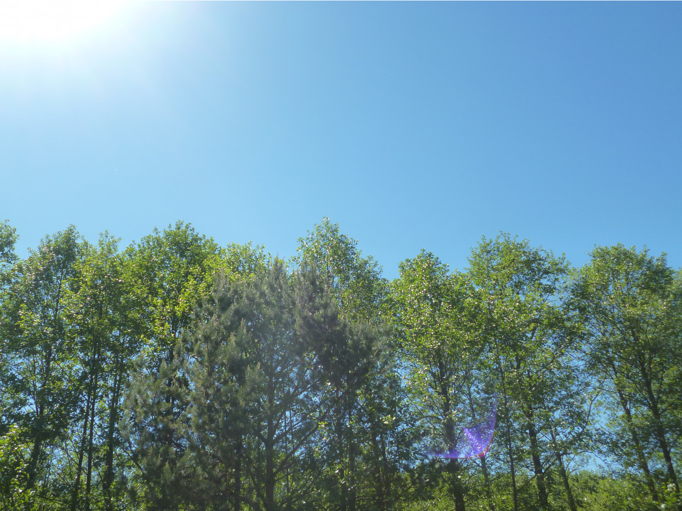 P1010228.JPG
