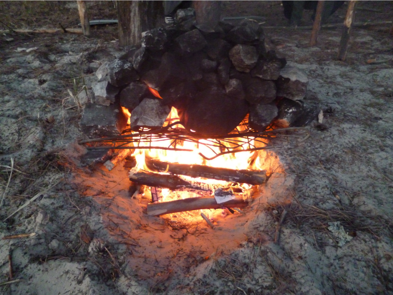 P1000990.JPG