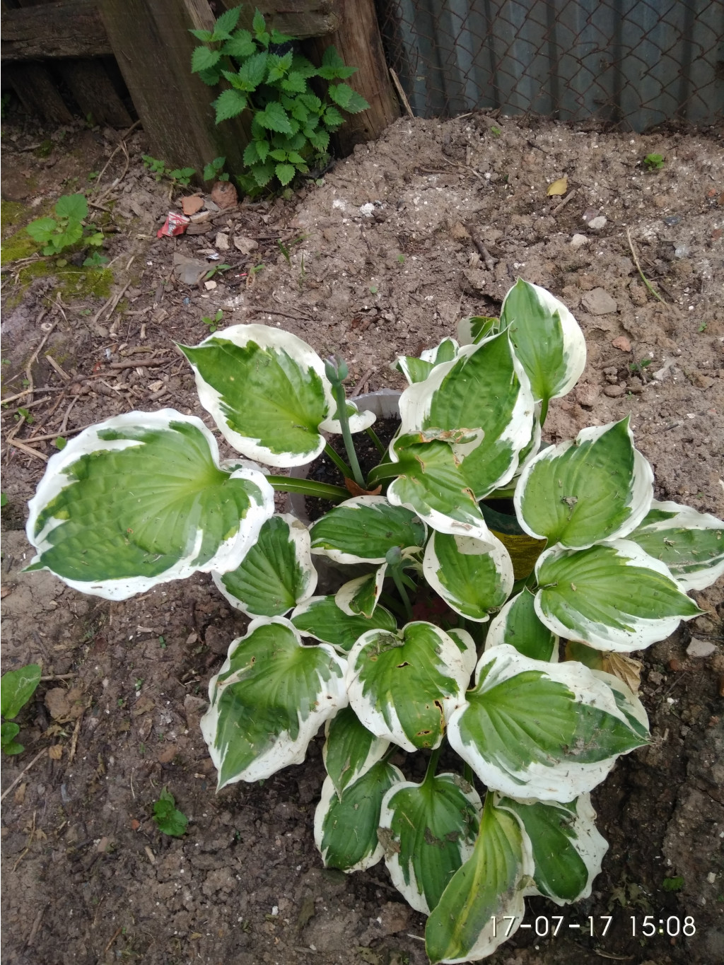 IMG 20170717 150844[1].jpg