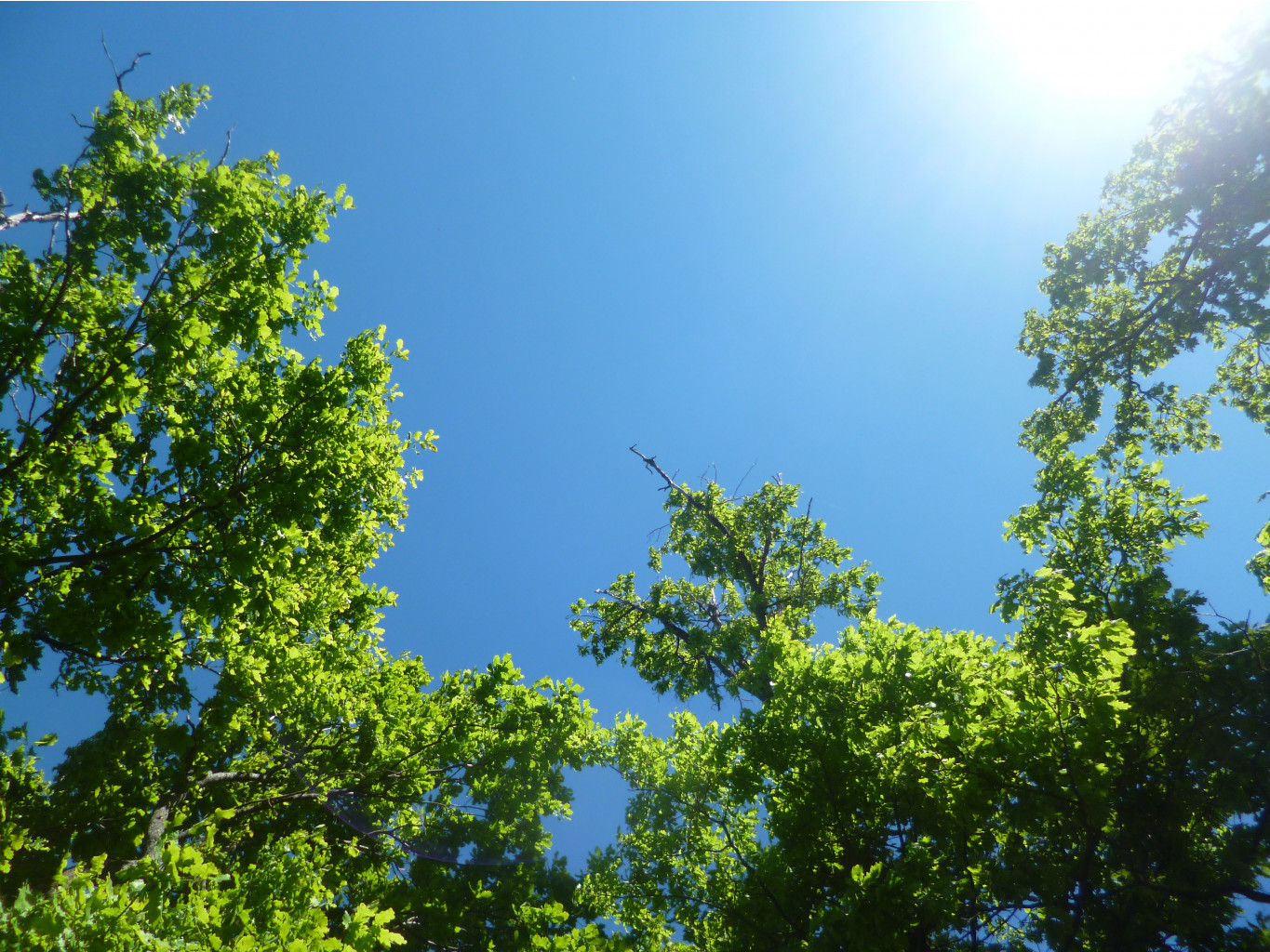 P1010244.JPG