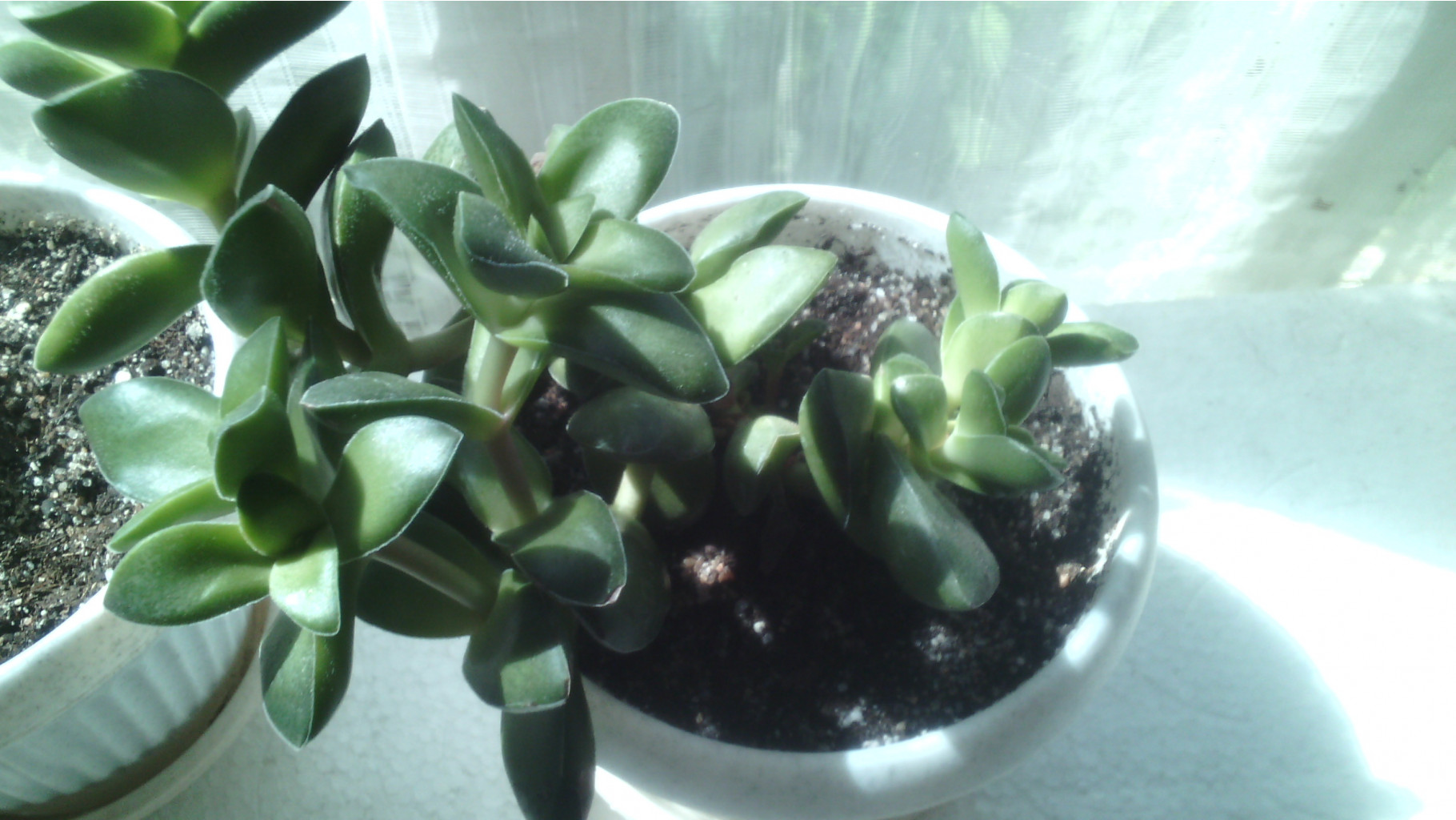 IMG 20141224 191653.jpg