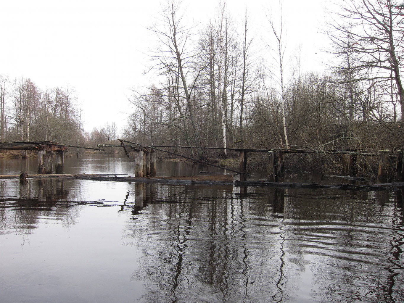IMG 0210.JPG