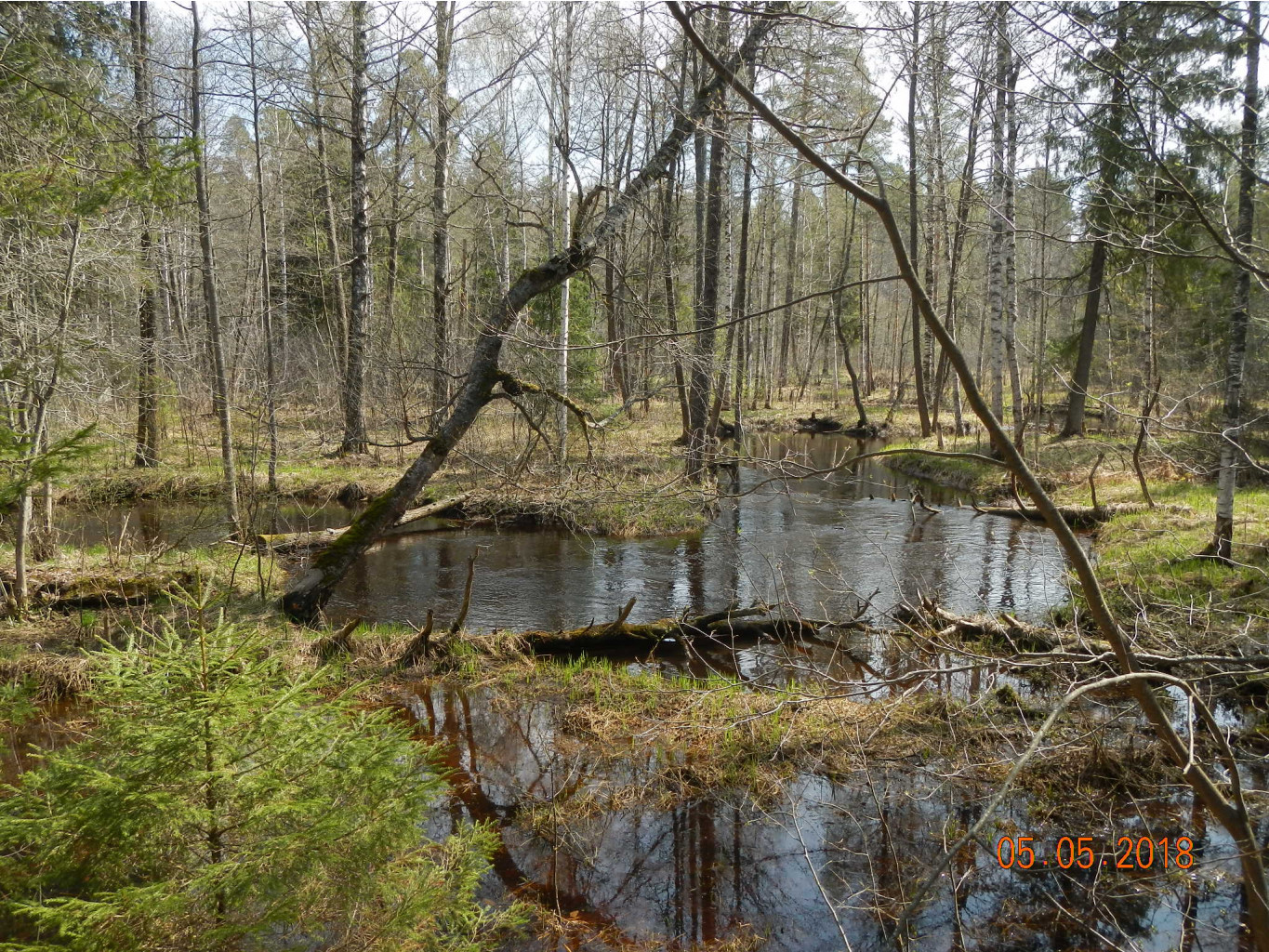 DSCN3911.JPG