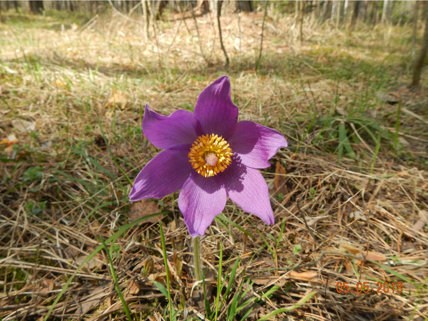 DSCN3908.JPG