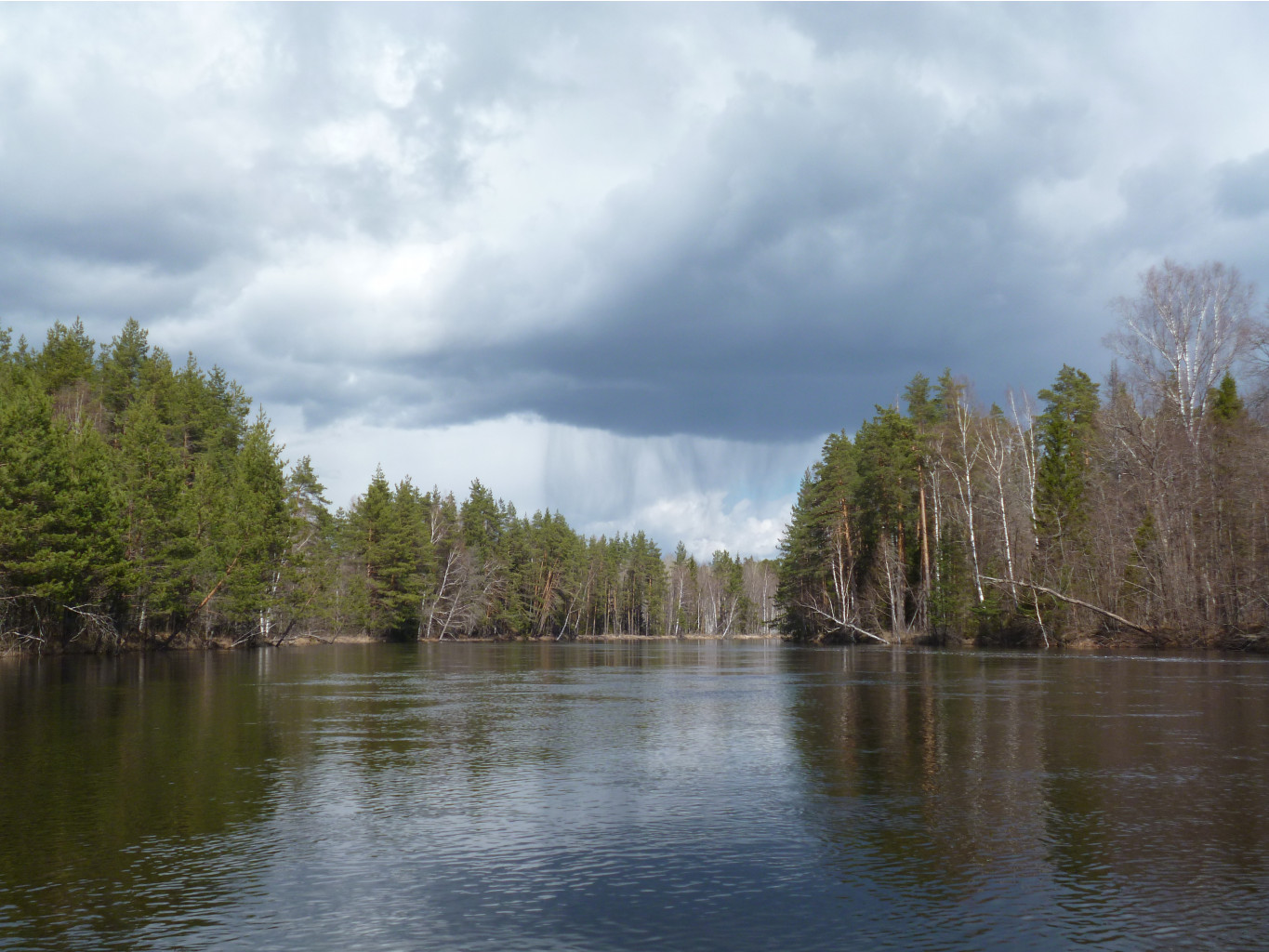 P1000981.JPG