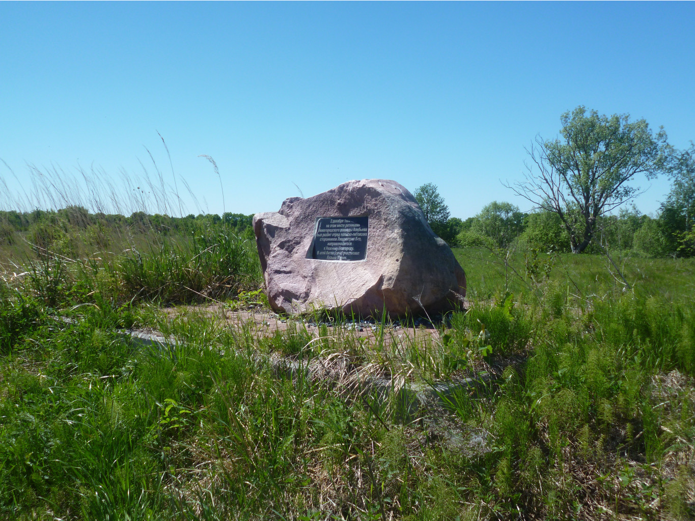 P1010217.JPG