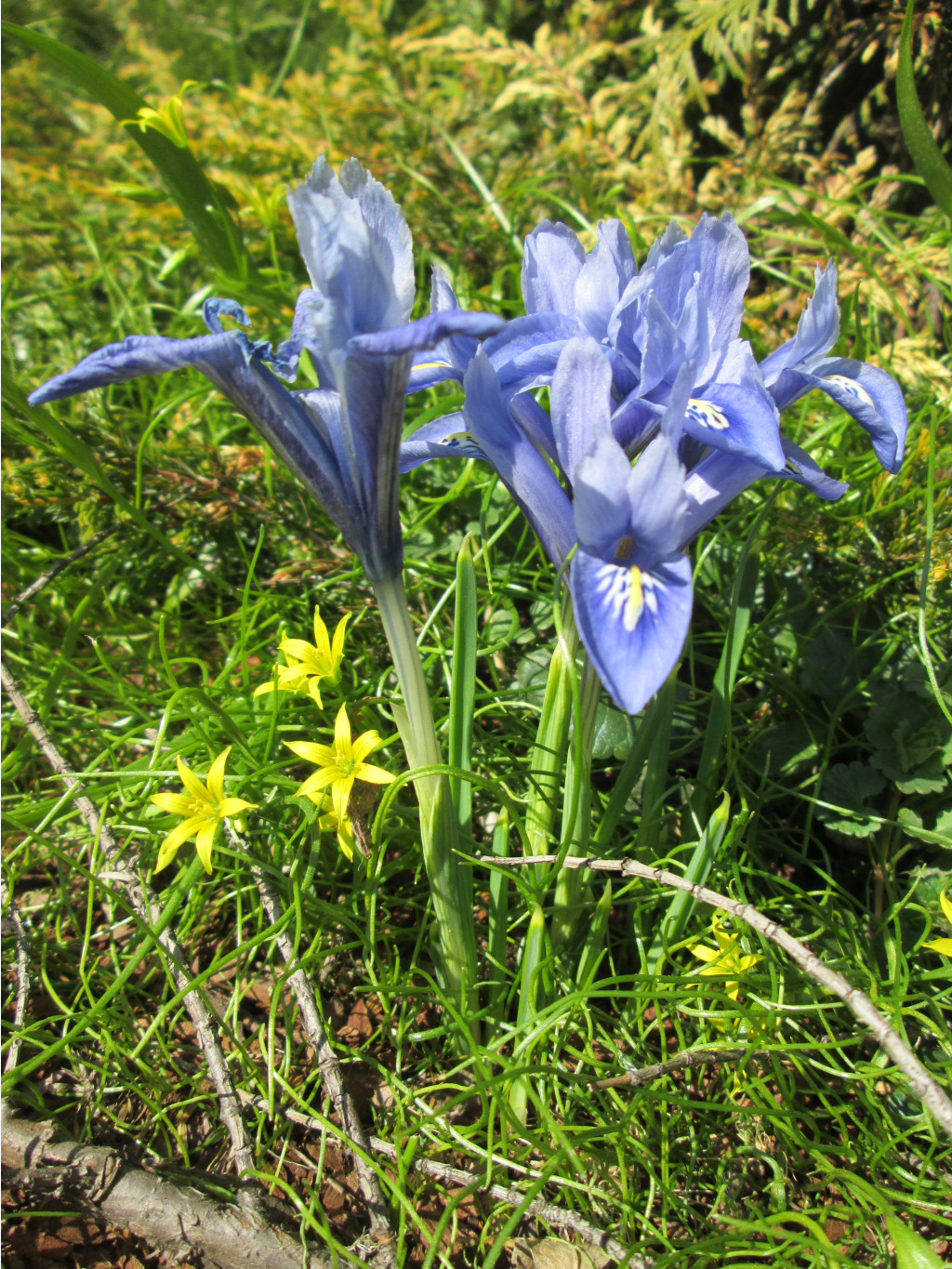 IMG 5305.JPG