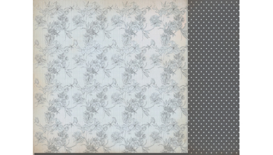 P867.jpg 46,6 .