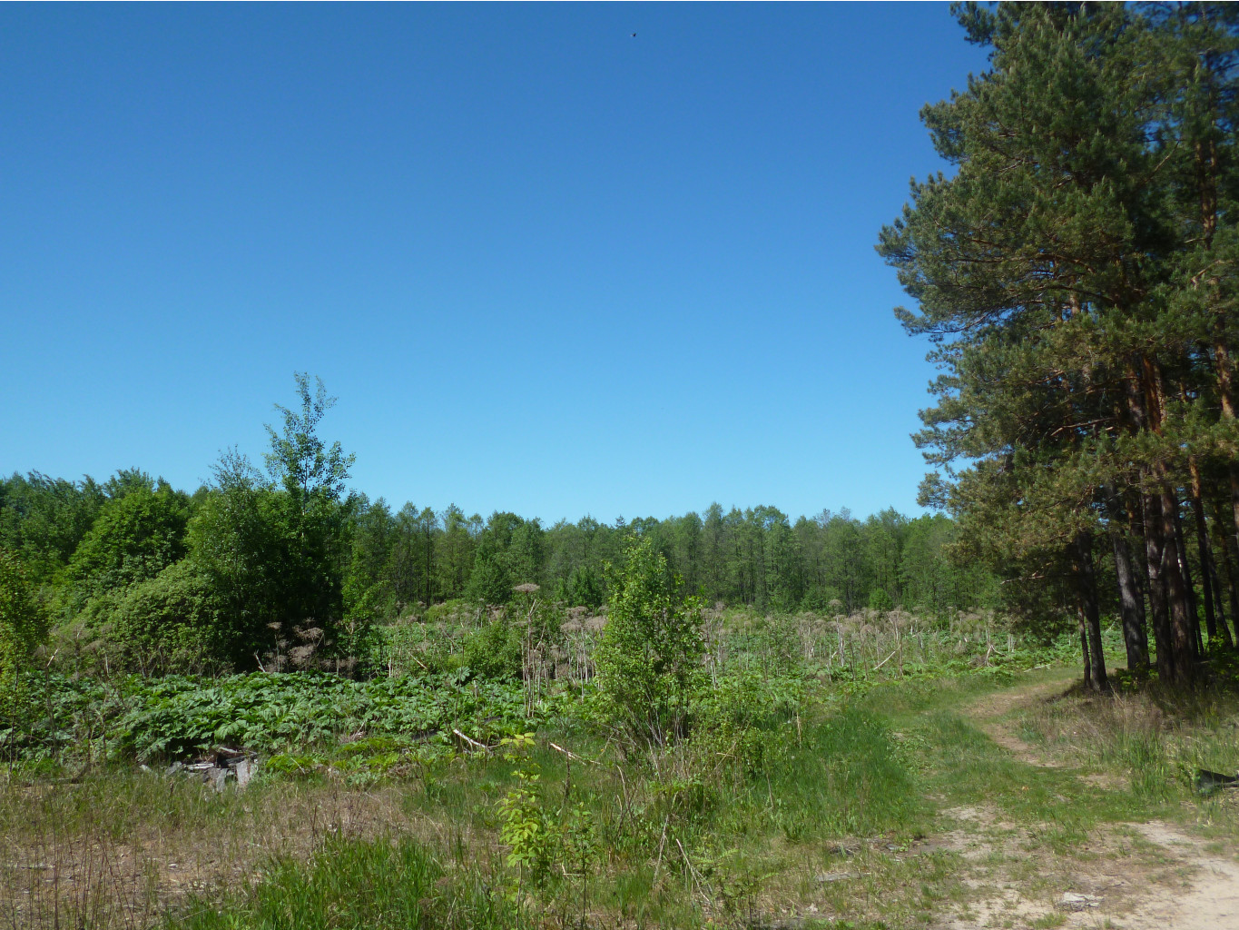 P1010229.JPG