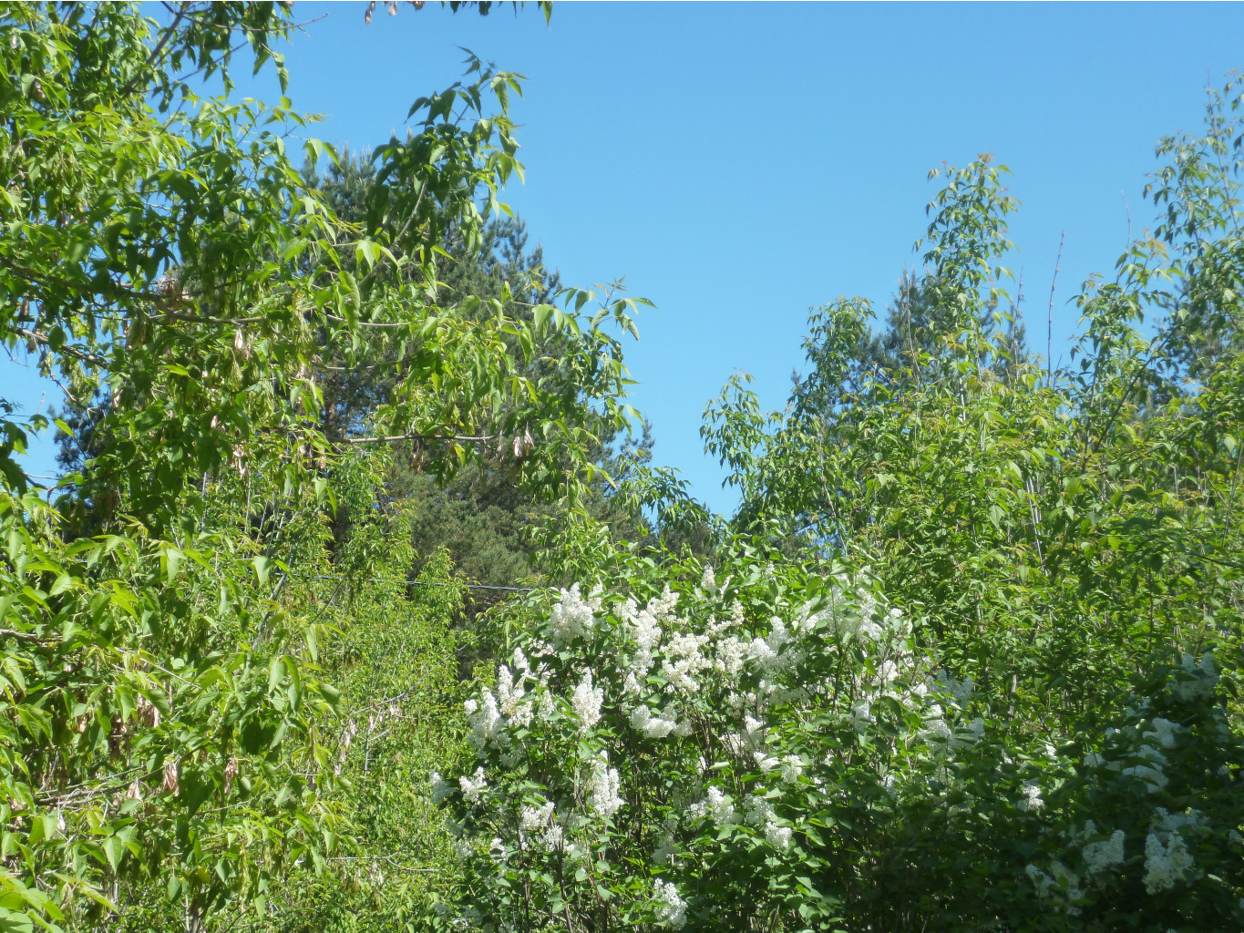 P1010231.JPG