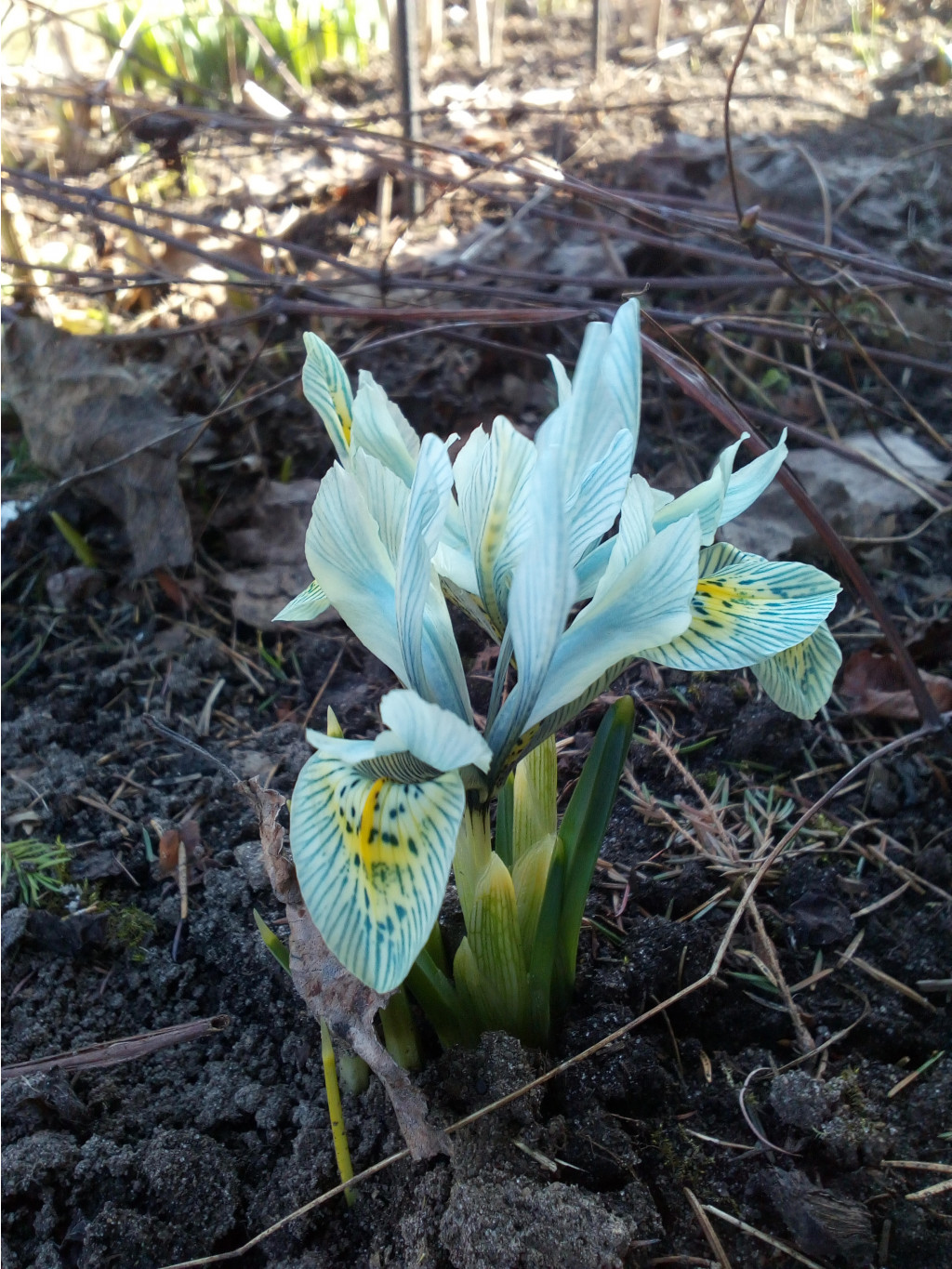 IMG 20180420 153147.jpg