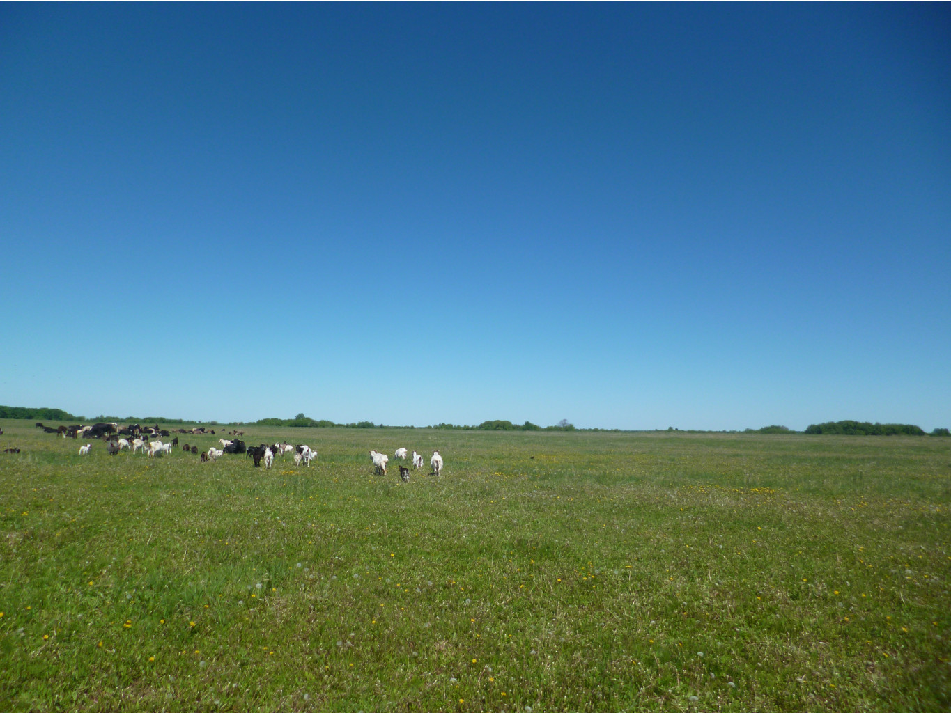 P1010206.JPG