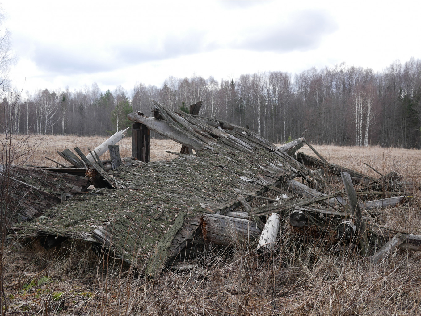 P1010496.JPG